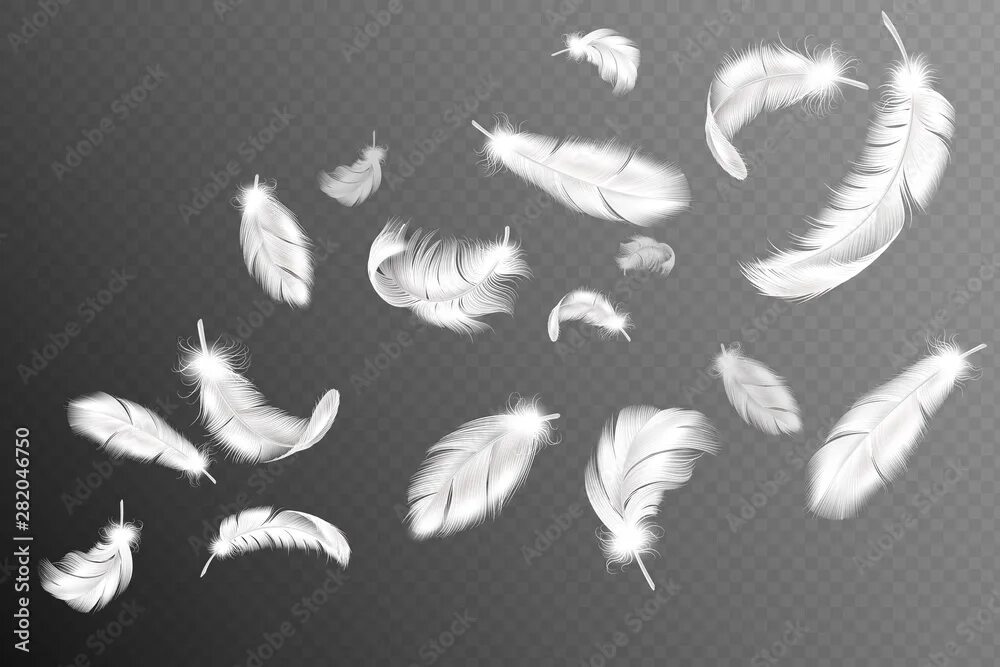 Flying feather