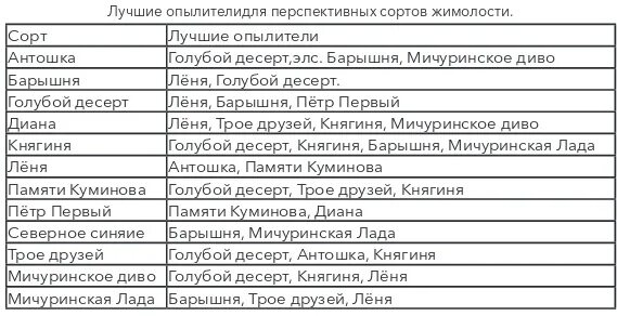 Таблица сортов жимолости съедобной с опылителями. Жимолости перекрёстные опыление таблица. Жимолость таблица опыляемости. Таблица опылителей жимолости совместимости сортов. Жимолость опылитель нужен