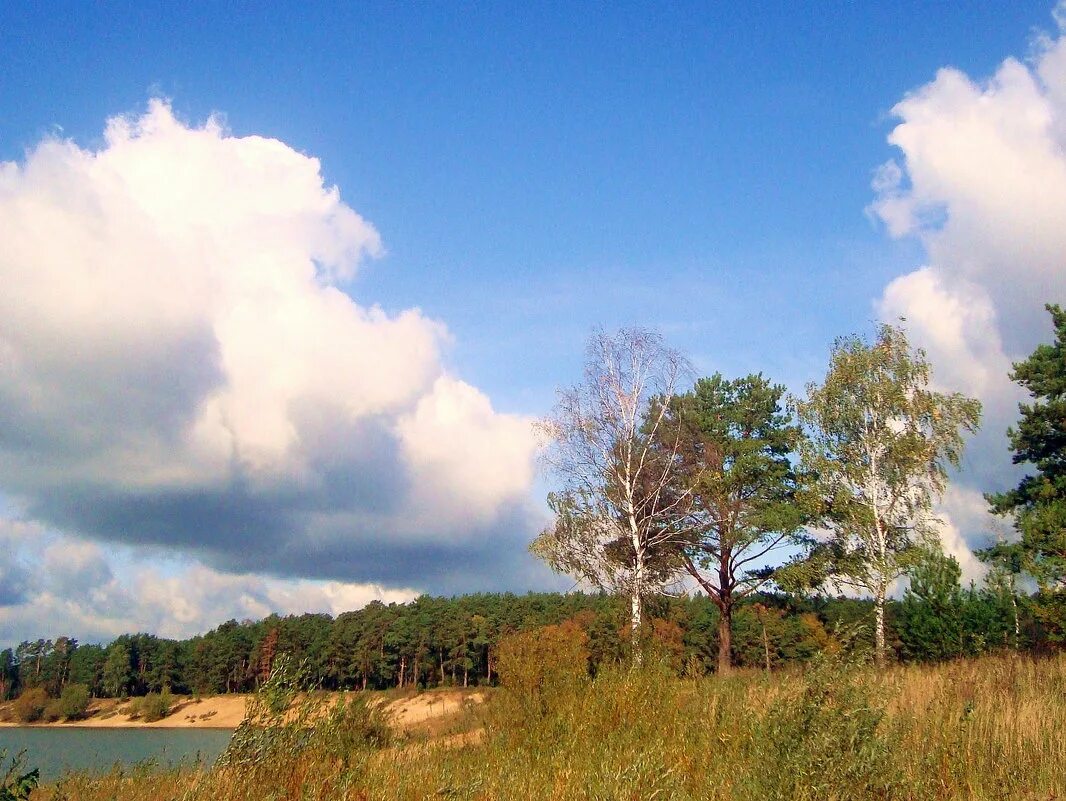 большой стих о ветре. ветер вольный ветер шапку. картина вольный ветер. я вольный ветер я вечно верю. вольный ветер лого.