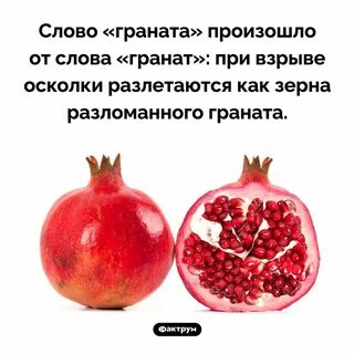 Гранатовая 1 5
