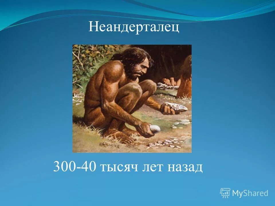 евклид фон для презентации. вид человек разумный (homo sapiens). человек прямоходядящий. хомо сапиенс неандерталец кроманьонец. питекантроп и синантроп это.