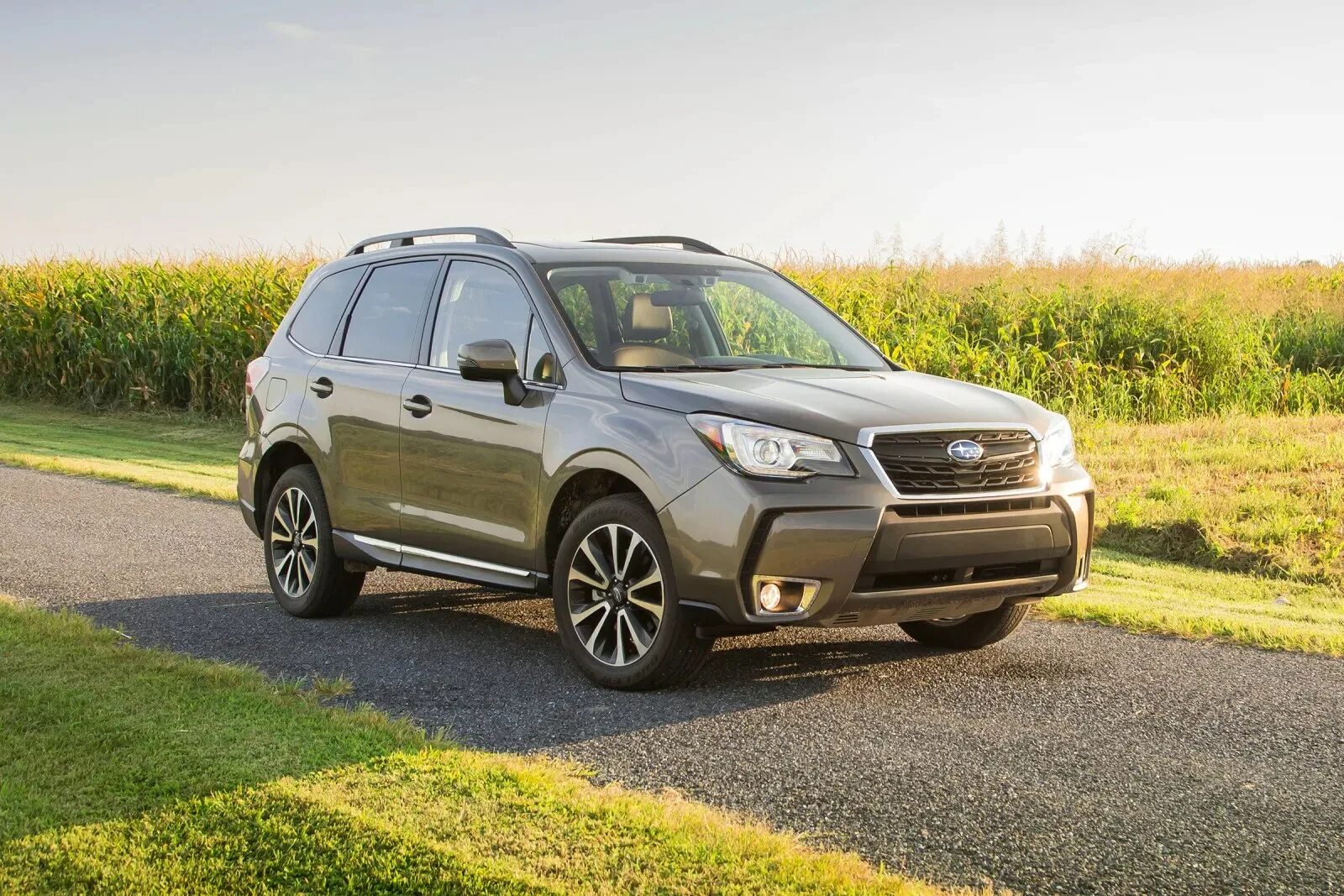 Subaru forester 2010. Субару форестер 2008. Subaru forester 2014. Субару форестер 4 поколения. Subaru forester 2011.