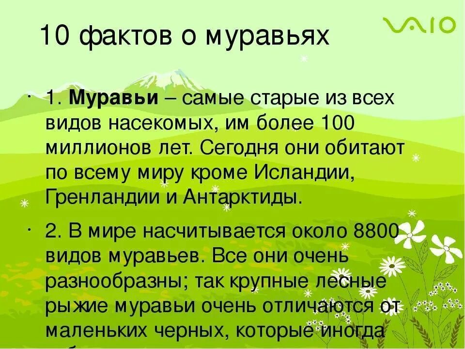 Самые нужные факты. Факты о муравьях. Интересные факты о муравьях. Интересные факты про муравьев. Интересные факты о муравьях для детей.