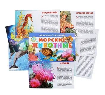 Морские животные 4 буквы
