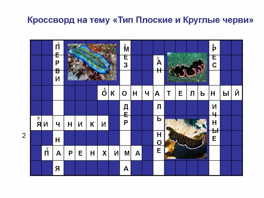 Плоские черви биология 7 класс кроссворд. Круглые черви кроссворд биология 7 класс. Кроссворд по биологии. Кроссоворд на тему дип. Кроссворд беспозвоночных животных