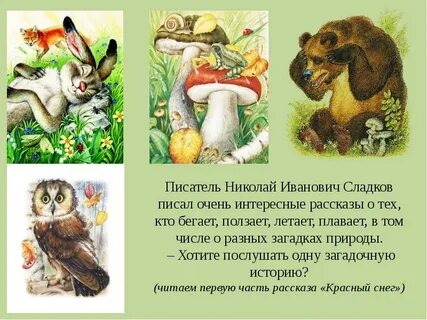 Жизнь животных весной н и сладкова