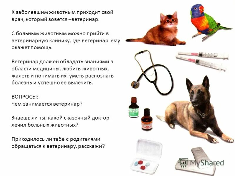 Люди и звери фильм. Правил содержания домашних животных. Бешенство памятка. Человек зверь содержание. Содержание домашних животных.