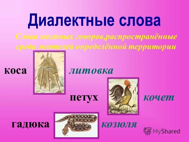 10 слов диалектов