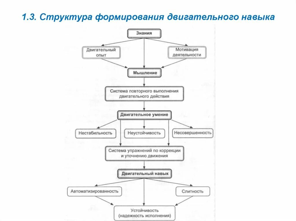 Основные обучения двигательным действиям. Формирование двигательного умения и двигательного навыка схема. Психологическая структура двигательного действия. Нарисуйте схему формирования двигательного навыка.. Последовательность формирования двигательного действия.