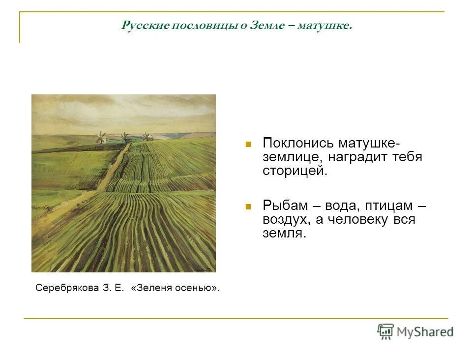 Зеленя значение. Зеленя значение
