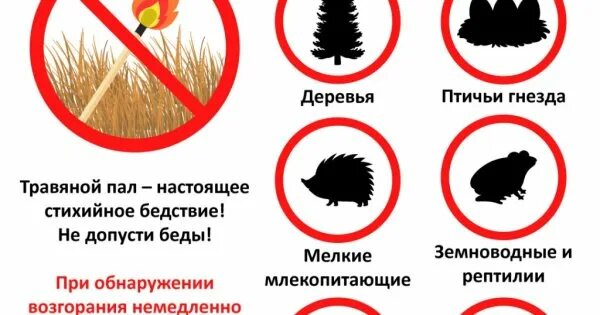 Акции пал пал. Акция нет весенним палам. Листовка пал травы. Весенние палы листовки. Нет весенним палам травы.