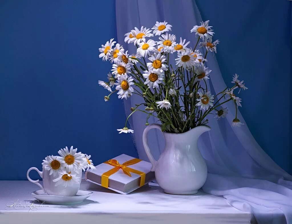 приятного вечера с ромашками. хорошего вечера ромашки. добрый вечер цветы ромашки. ромашки в вазе. прекрасной ночи с ромашками.