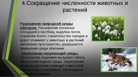 Охрана исчезающих растений и животных
