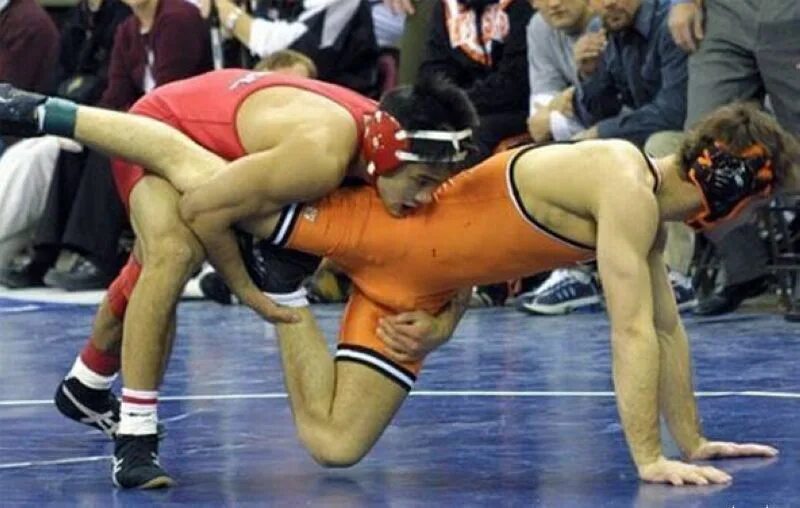 Парни борцы. Трусы борцов. Спортсмены в обтягивающем. Борцы в трико. У борца встал.