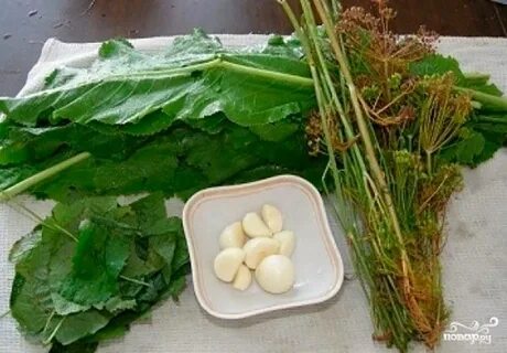 Листья хрена и укропа