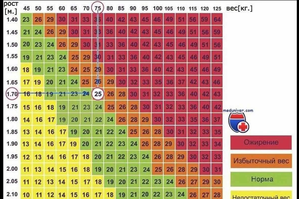 Ожирение таблица рост вес. Индекс массы тела таблица для женщин. Как рассчитывается коэффициент массы тела человека. ИМТ таблица для женщин по возрасту и росту. Во сколько раз собственного веса может