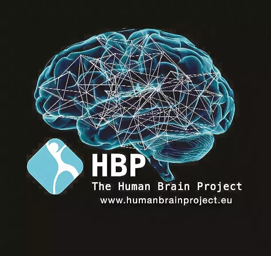 Brain project. Human Brain Project. Мозги проект. Мозг защищает. Brain Programming.