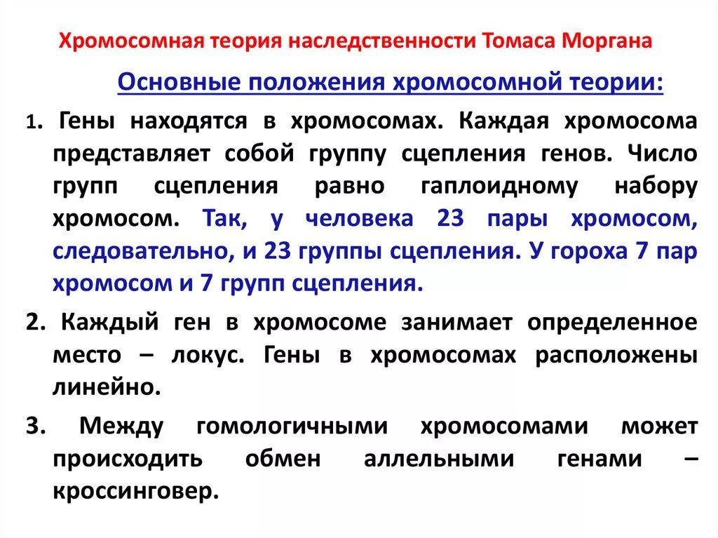 Развитие теории наследственности. Теория Томаса Моргана генетика. Теории наследственности т. Моргана. Хромосомная теория наследственности генетика пола.