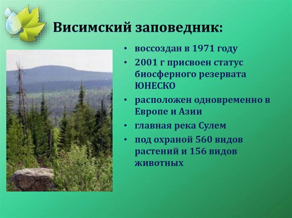 Названия биосферных заповедников. Темнохвойная Тайга Висимский заповедник. Заповедники Урала Висимский заповедник. Висимский заповедник Свердловской области растения. Заповедники Урала Свердловской области.