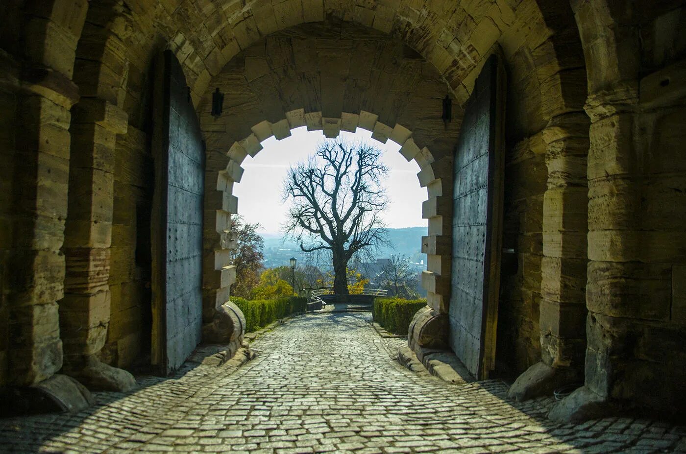 Открытые ворота замка. Ворота замка. Средневековые ворота. Красивые старинные ворота.