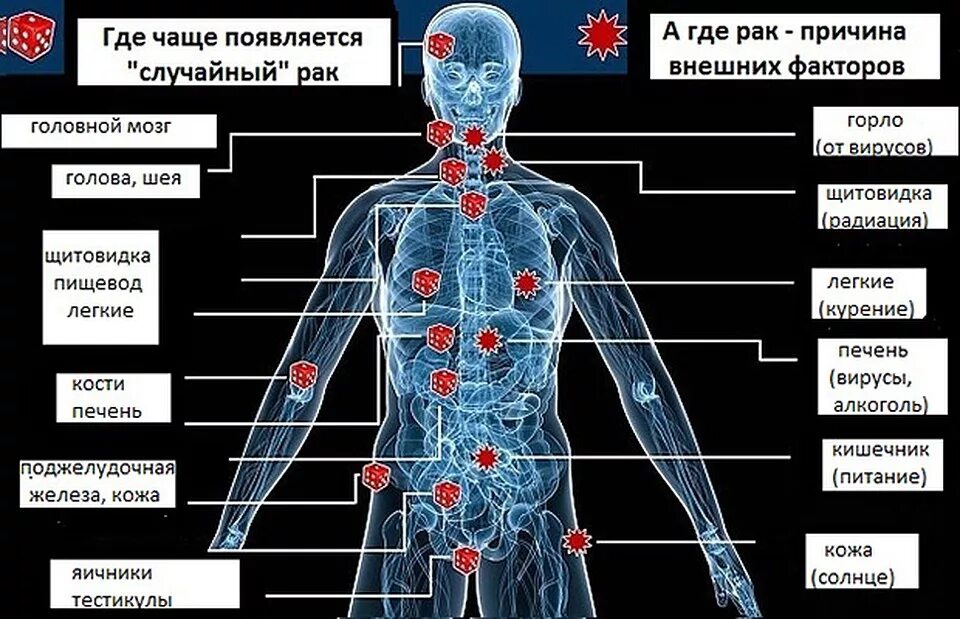 Опухолевые заболевания. Разновидности онкологии. Формы онкологических заболеваний. Раковые заболевания виды. Причины появления рака