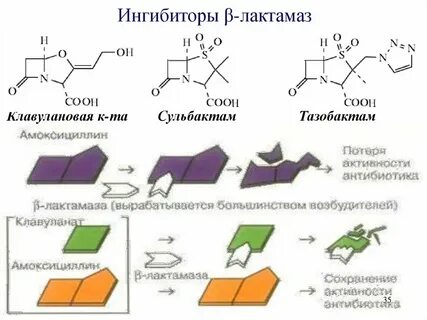 Ингибиторы лактамазы