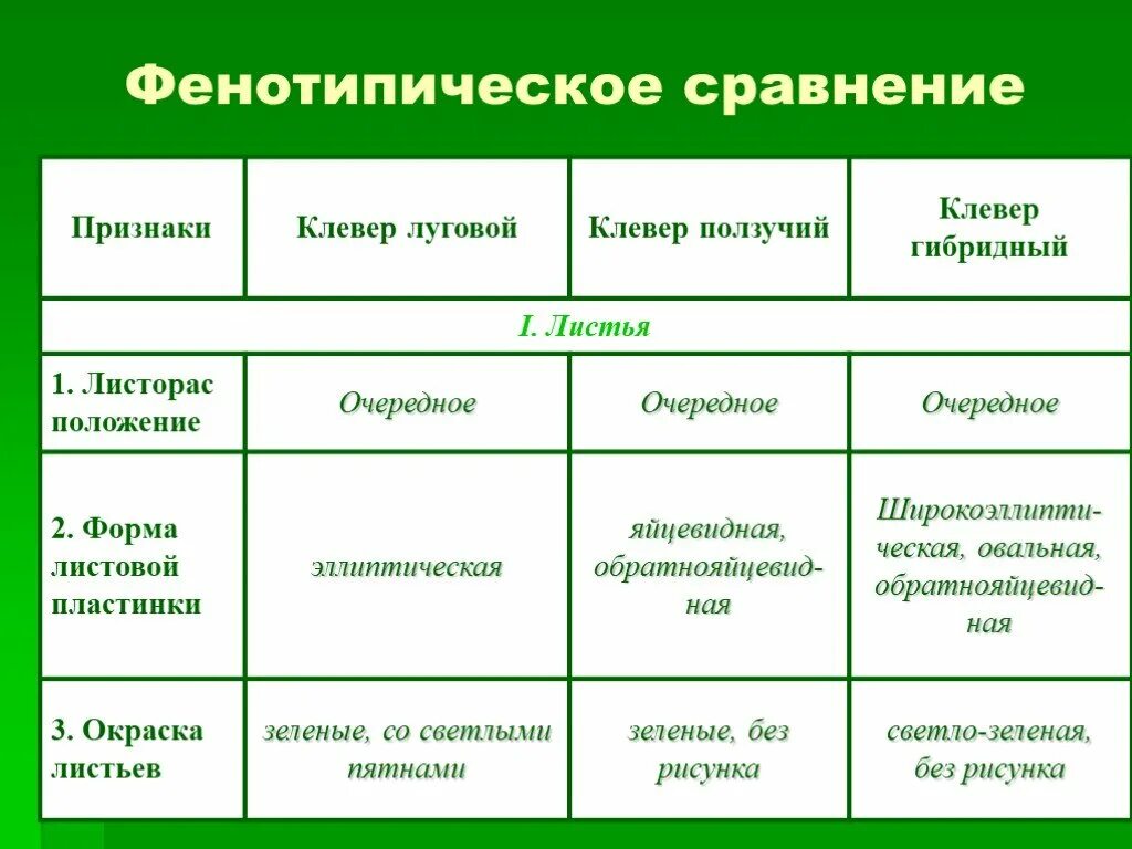 Черты различия клевера ползучего и клевера. Род растения Клевер Луговой и Клевер ползучий таблица. Форма листовой пластинки у клевера ползучего. Сравнение клевера Лугового и ползучего таблица. Признаки Клевер белый ползучий Клевер Луговой таблица.