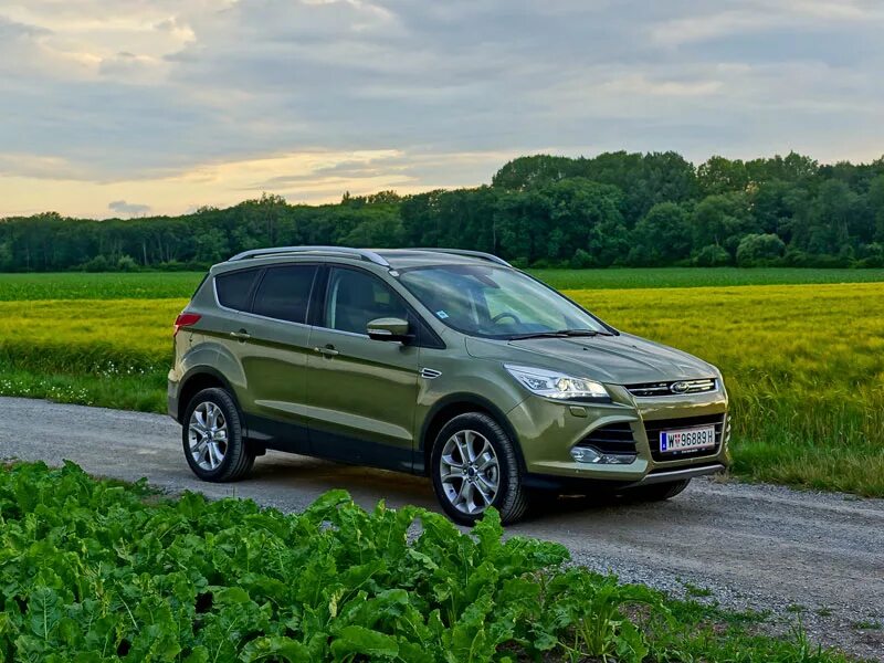 Куга 2.5 передний привод. Ford Kuga 4x4. Ford Kuga 4. Форд Куга 2. Ford Kuga 2013.