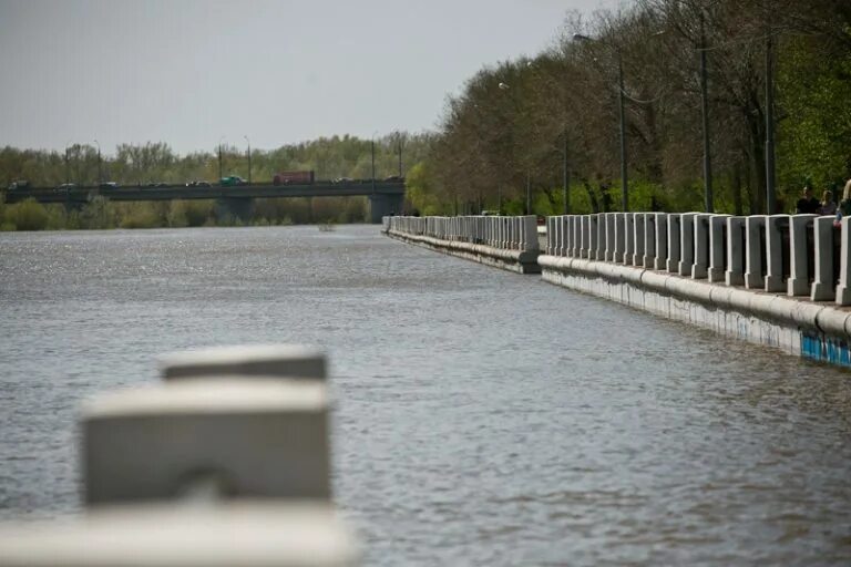 Оренбург какой уровень воды в урале сегодня. Разлив реки Сакмара Оренбург. Река Урал Оренбург. Уровень воды в реке Урал у Оренбурга. Реки около Оренбурга.