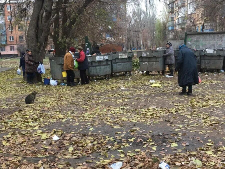 Копаются в мусорках. Украинские пенсионеры на мусорке. Пенсионеры Украины роются в мусорных Баках. Нищие украинские пенсионеры роются в мусорке.