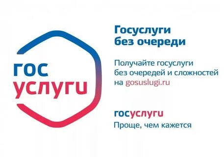 Как оформить банкротство госуслуги