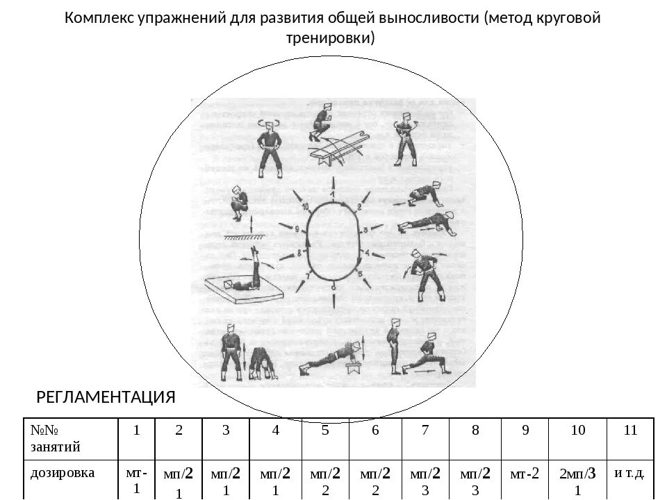 Кольцевой комплекс. Комплекс круговой тренировки. Комплекс упражнений для развития выносливости. Комплекс упражнений для развития общей выносливости. Круговая тренировка комплекс упражнений.