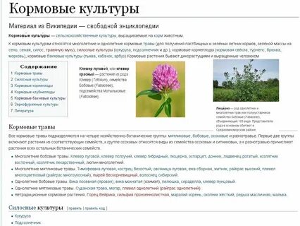 Однолетние кормовые культуры