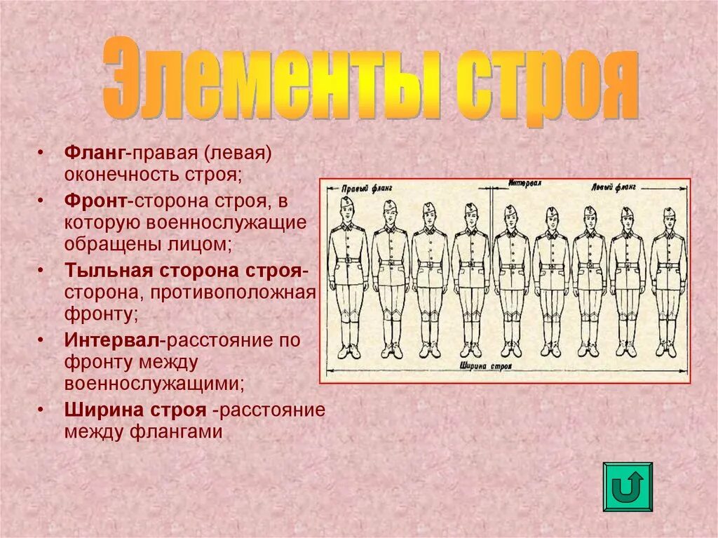 Элементы строя. Строй и его элементы. Элементы строевой подготовки фланг. Элементы строя в армии. Как называется правая левая оконечность строя физкультура