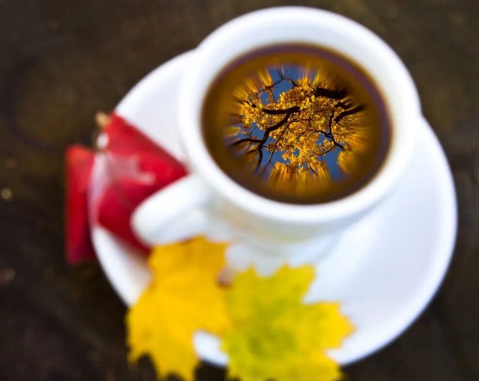 Осень кофе. Утро кофе осень. Осеннее чаепитие. Осеннее утро и кофе.