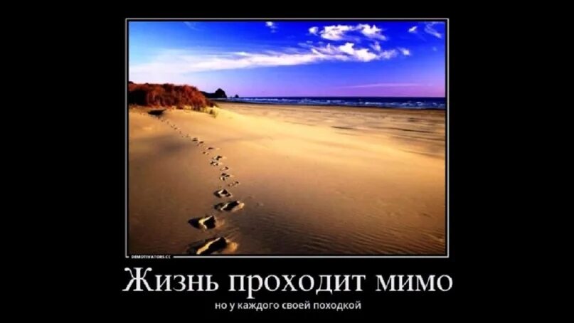 Проходите мимо цитаты. Земля обетованная ремарк. Душевные воспоминания. Демотиваторы со смыслом про жизнь. Равнодушное отношение к животным.