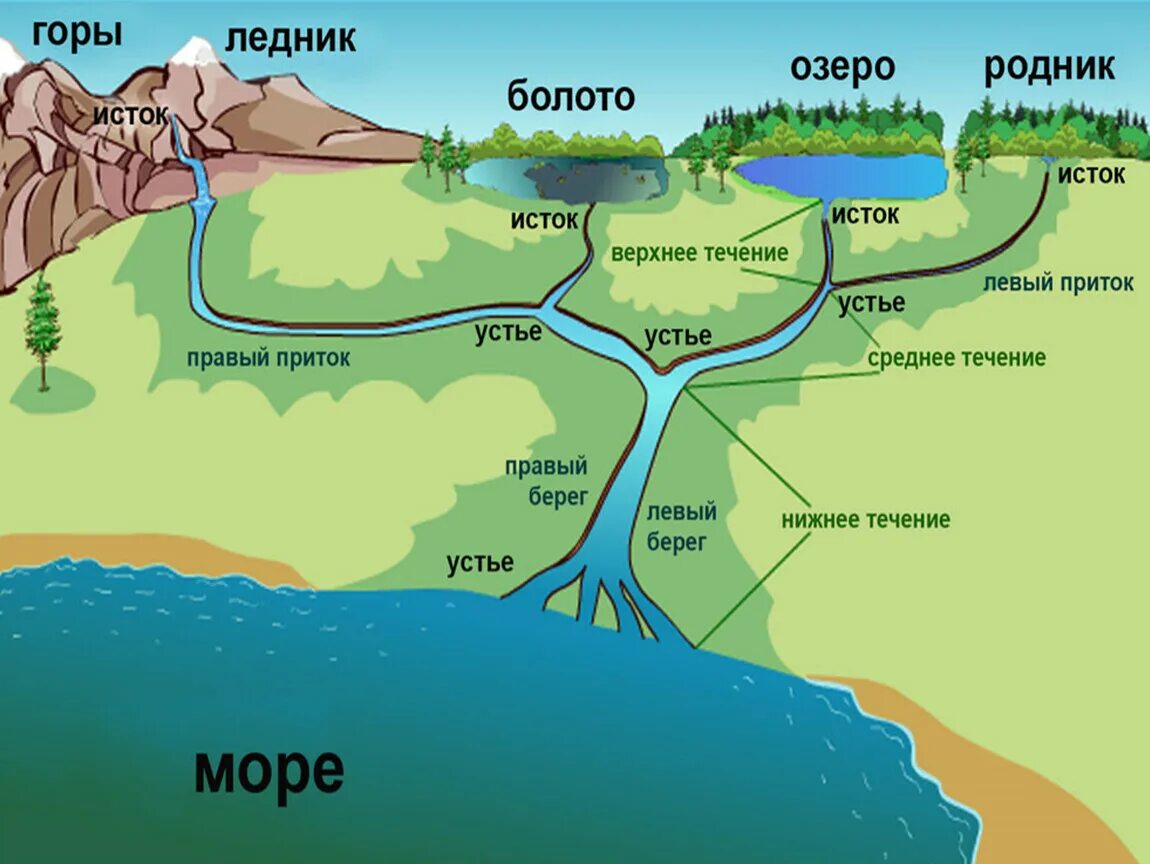 Воды какой реки протекают через. Что такое Устье реки и Исток и русло и приток. Схема реки Исток русло Устье. Устье реки Дельта Исток русло 1 класс. Устье Исток русло части реки.