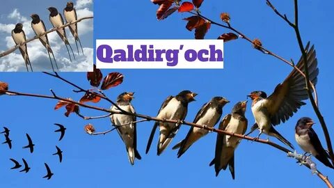 Andijonda yashirin kamera seks