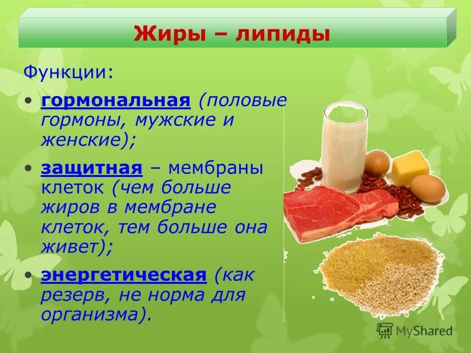 Охарактеризуйте роль жиров в организме животных приведите. Жиры в продуктах. Липиды это жиры. Жиры в питании. Презентация на тему жиры в организме человека.