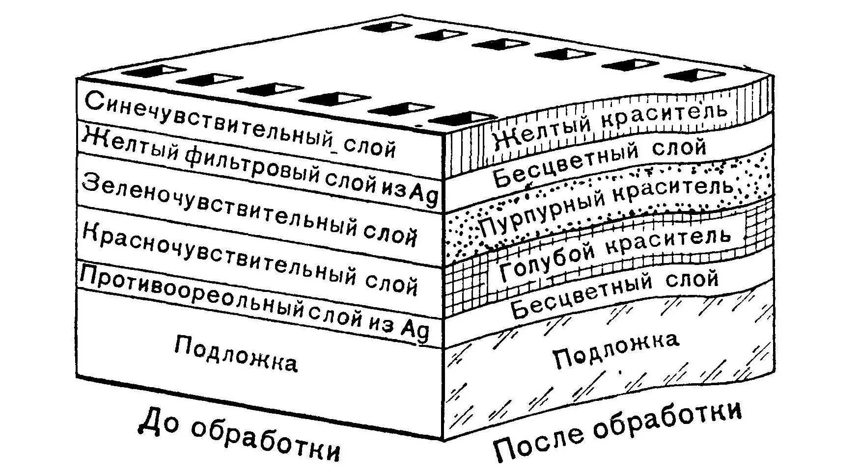 Стандартные слои. Состав эмульсионного слоя фотоплёнки. Строение цветной фотопленки. Строение цветных фотоматериалов. Строение черно-белых фотоматериалов.