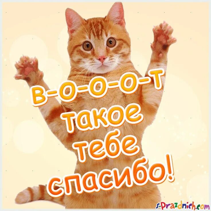 А вот так спасибо. Вот спасибочки. Вот такущее спасибо. Открытки спасибочки. Вот такое спасибо.