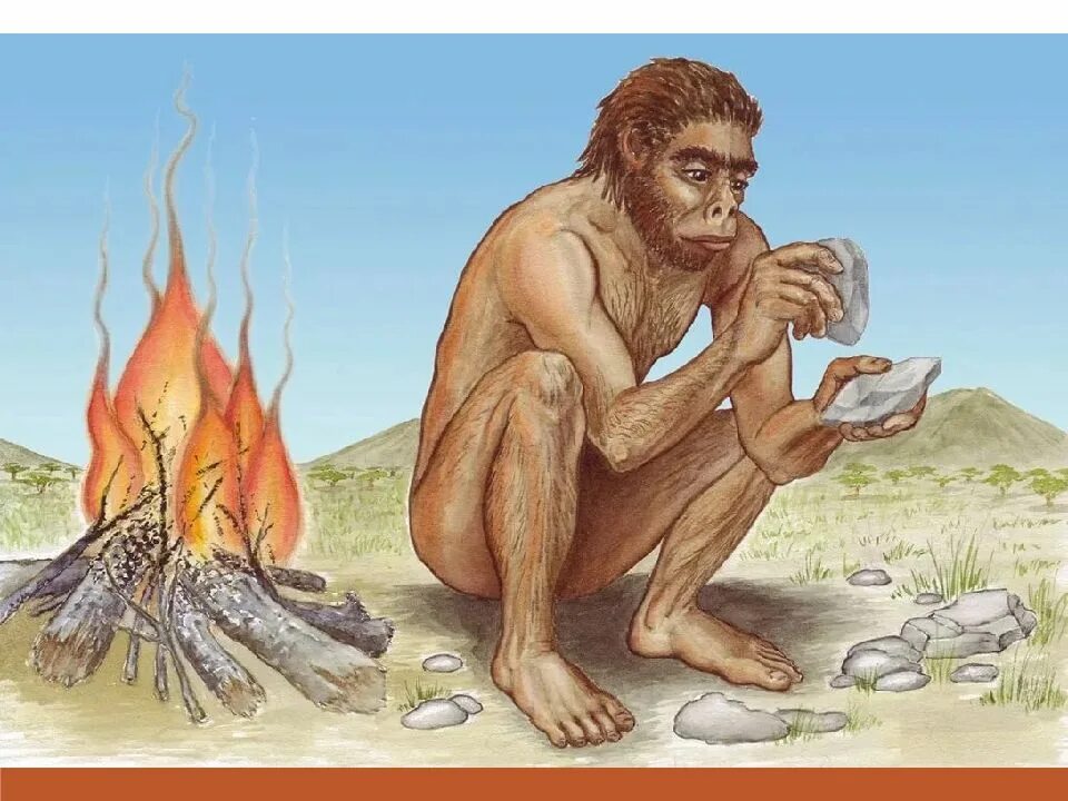 Образ первого человека. Архантропы (homo Erectus). Хомо хабилис Палеоантропы. Австралопитек питекантроп неандерталец. Человек прямоходящий homo Erectus.