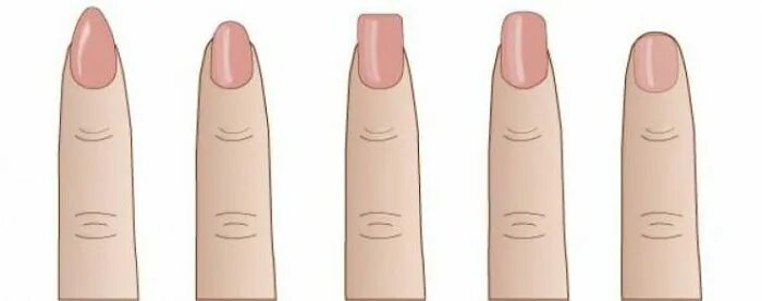 По ногтям определить человеком. Форма ногтей и характер. Форма ногтей расскажет о характере. Формы женских ногтей.