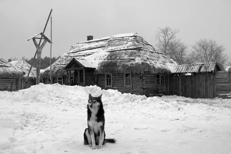 Деревня 20. Русская деревня 20 века. Российская деревня 19-20 века. Русская деревня в 20 веке. Деревня зимой до революции.