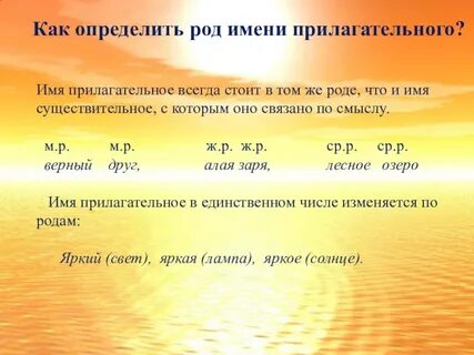 Краткое прилагательное изменяются по родам числам