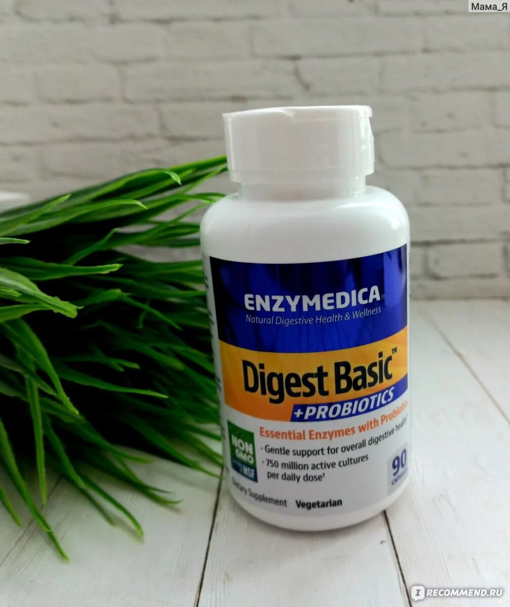 Enzymedica digest basic