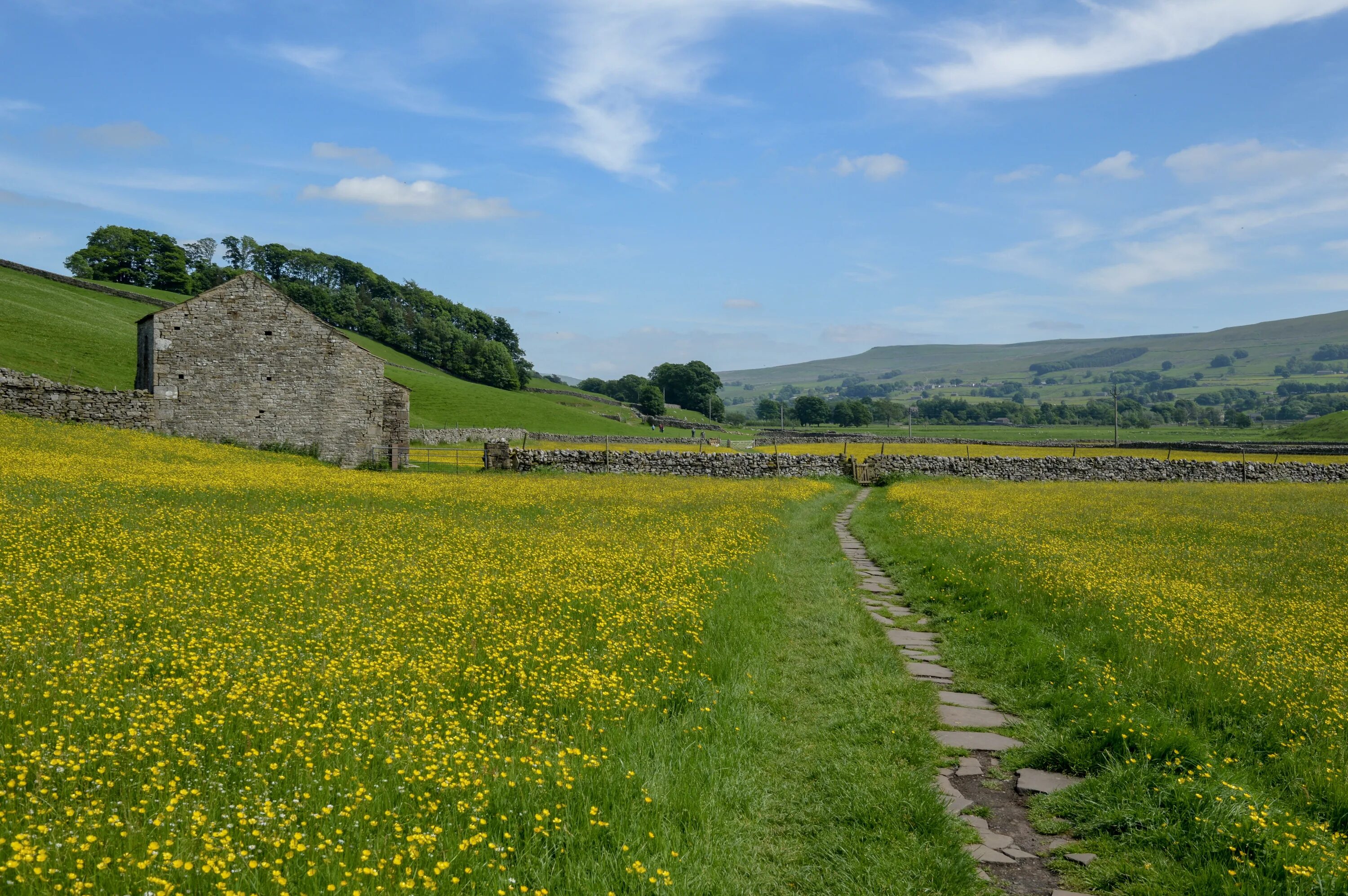 English countryside. Англия бухта Йоркшир. Йоркшир Англия старинные улочки. Йоркшир фото местности. Countryside.