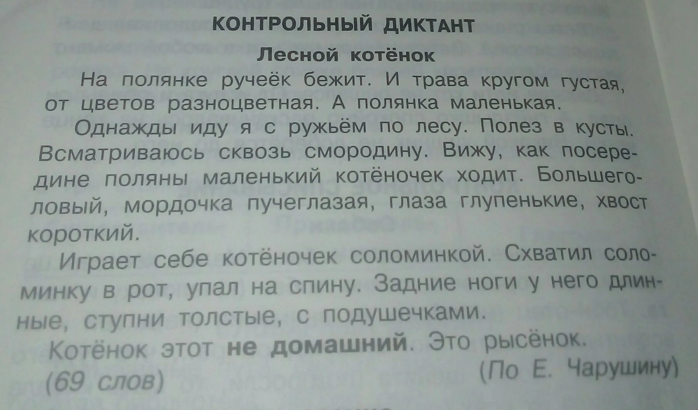 Диктант история каштанки. Диктант по русскому языку. Контрольный диктант. Диктант с заданиями. Большие диктанты.