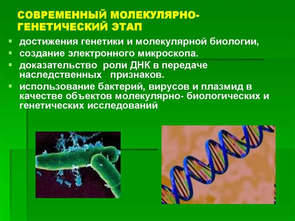 Генетика развития этапы 4. Молкулярногенетический мето. Этапы развития генетика. Генетик основной этап. Схема получения инсулина генной инженерией.
