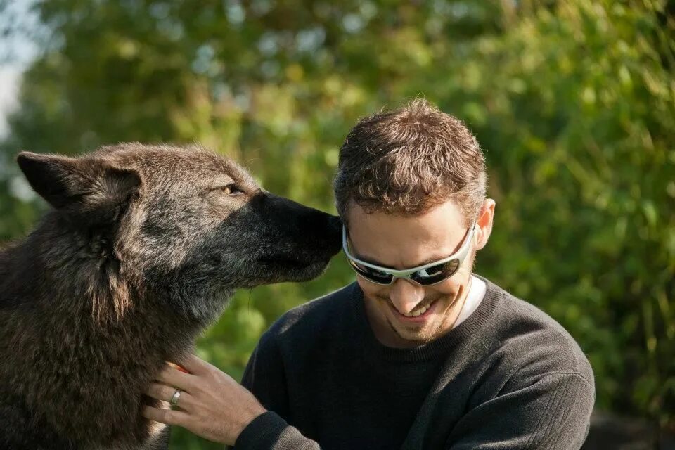 Фэнтези парень оборотень. Once human волки. Парень оборотень. Волк оборотень werewolf. Фэнтези парень оборотень.